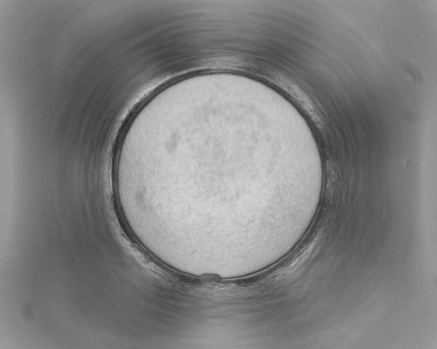 X0000114630939200911171007