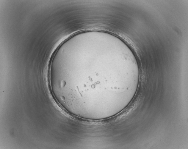 X0000114630941200911171007