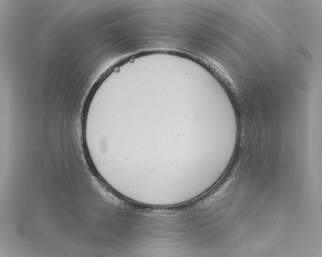 X0000114630942200911171007