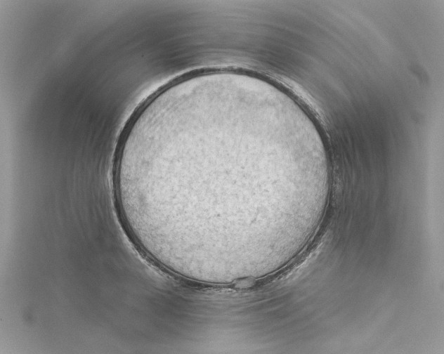 X0000114630943200911171007