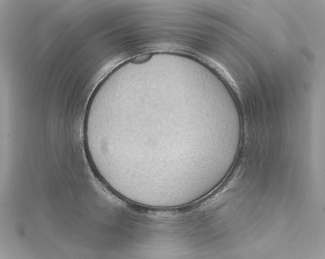 X0000114630946200911171007