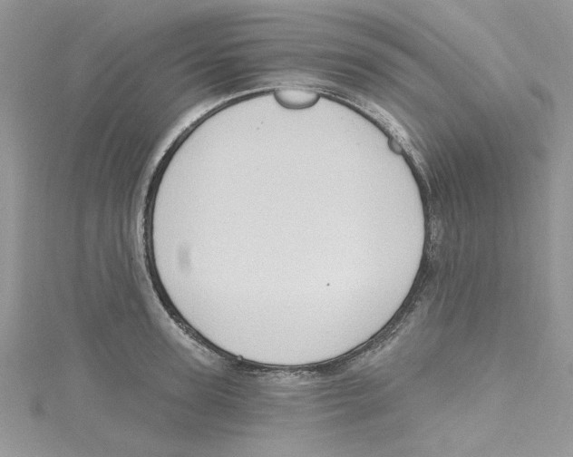 X0000114630947200911171007