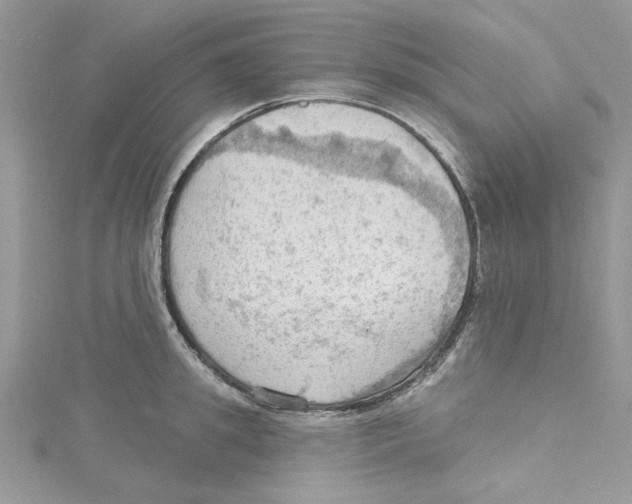 X0000114630949200911171007