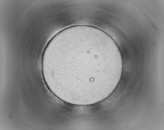 X0000114630950200911171007