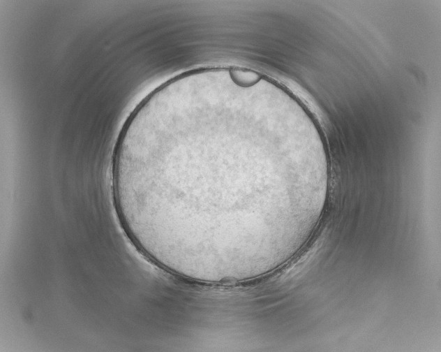 X0000114630951200911171007