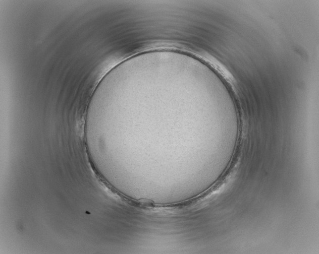 X0000114630953200911171007