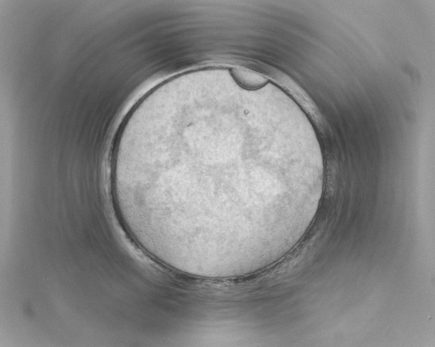 X0000114630955200911171007