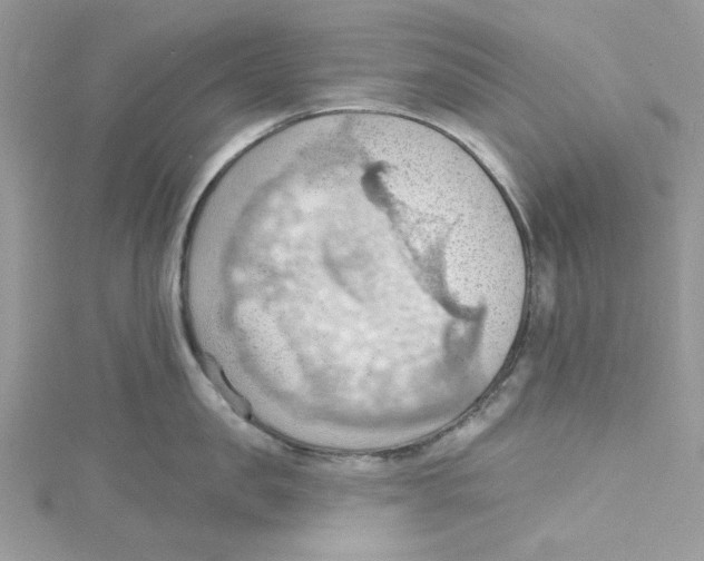 X0000114630957200911171007