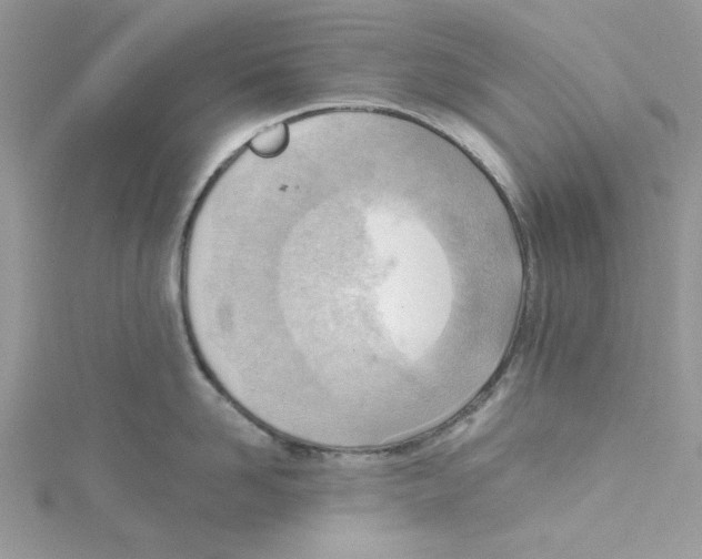 X0000114630958200911171007