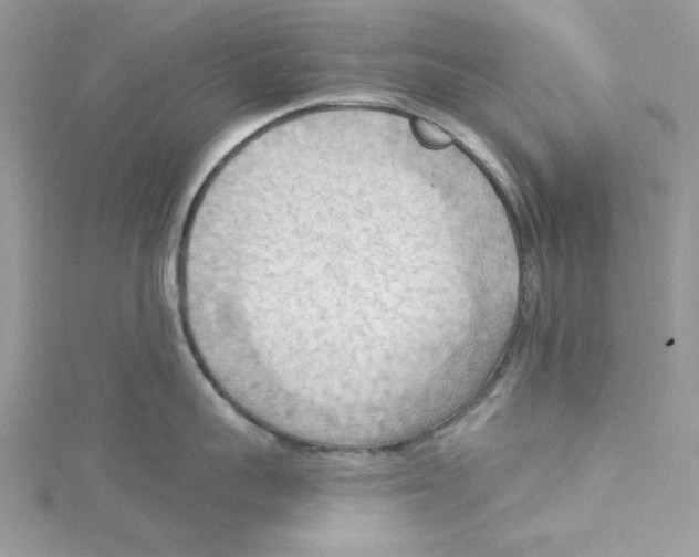 X0000114630959200911171007