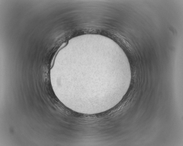 X0000114630964200911171006