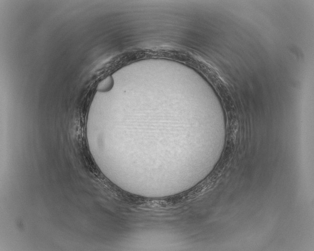 X0000114630966200911171006