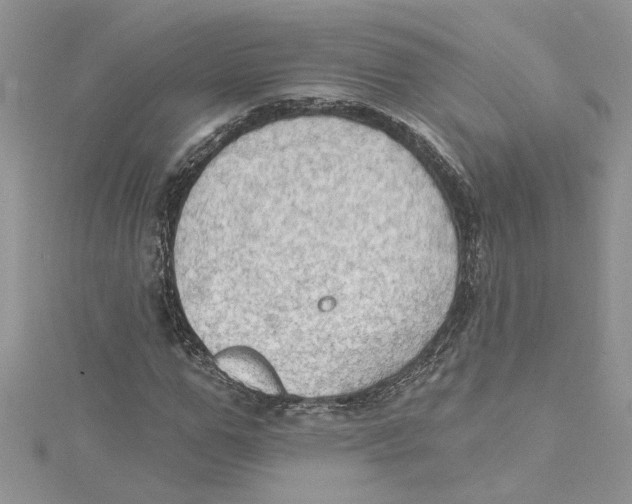 X0000114630967200911171006