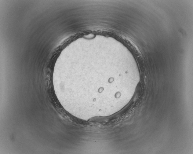 X0000114630968200911171006