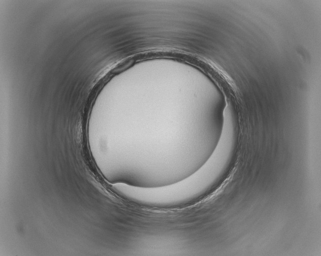 X0000114630969200911171006