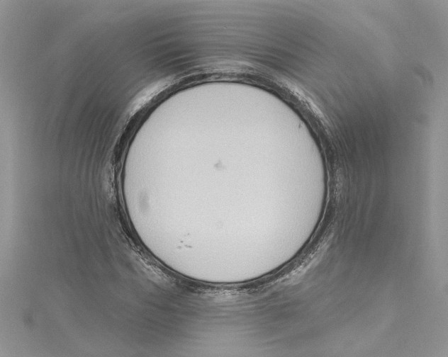 X0000114630970200911171006