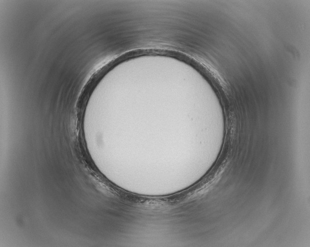 X0000114630974200911171006