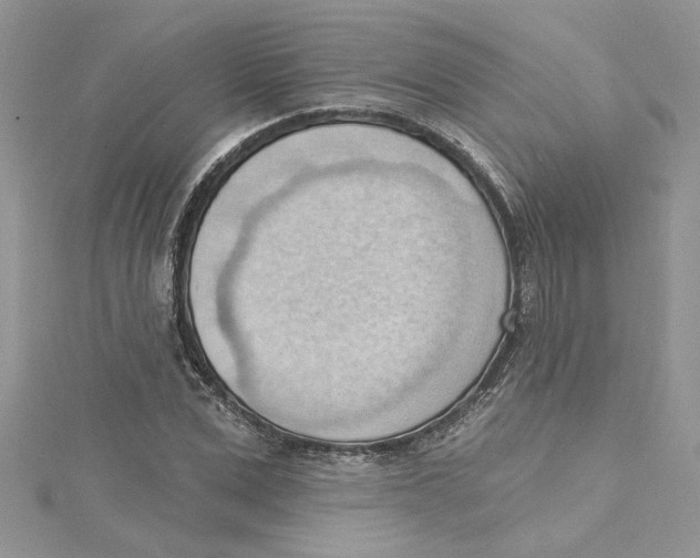 X0000114630975200911171006