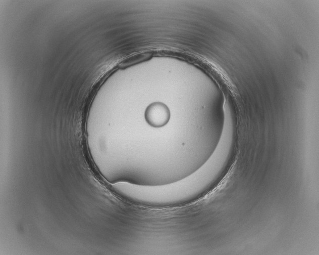 X0000114630977200911171006