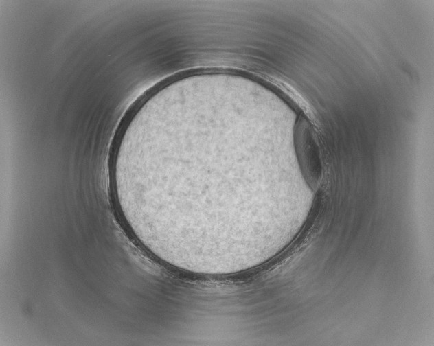 X0000114630980200911171006