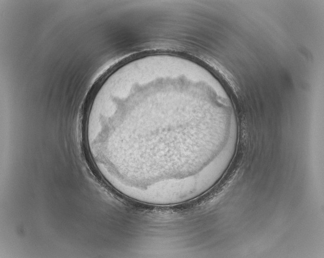 X0000114630983200911171006