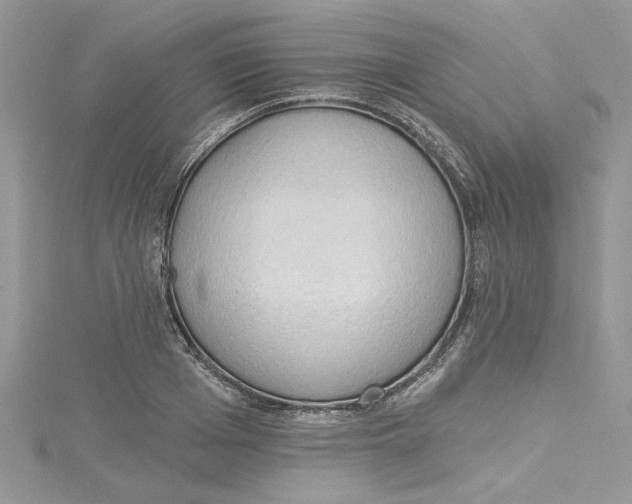 X0000114630985200911171006