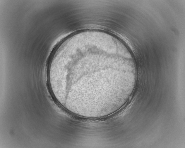 X0000114630987200911171006