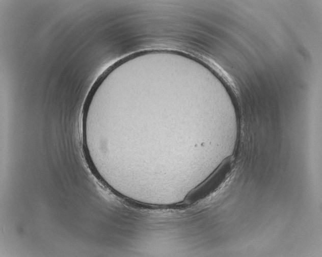 X0000114630988200911171006