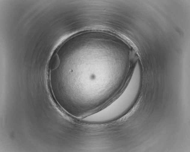 X0000114630989200911171006