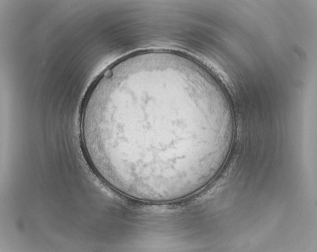 X0000114630990200911171006