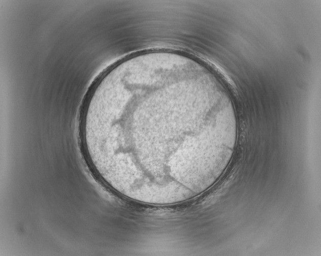 X0000114630991200911171006