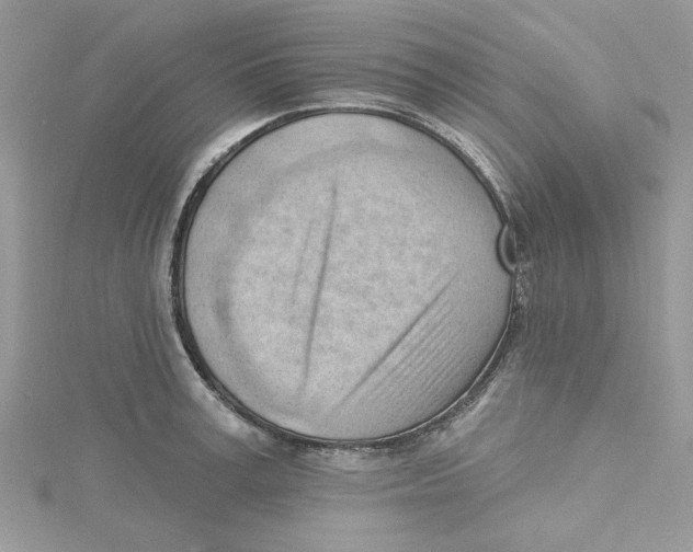 X0000114630995200911171006