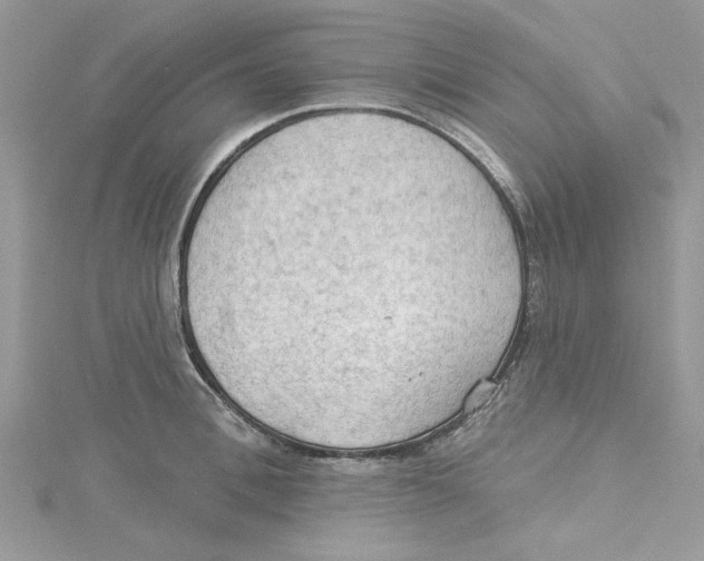 X0000114630996200911171006