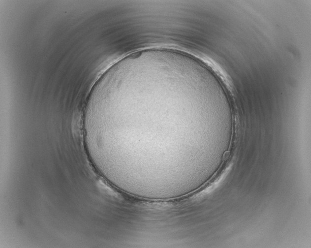 X0000114631001200911171006