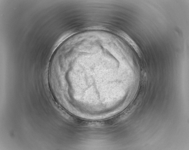 X0000114631002200911171006