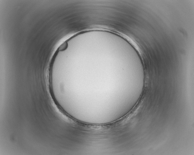 X0000114631003200911171006