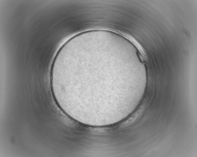 X0000114631004200911171006