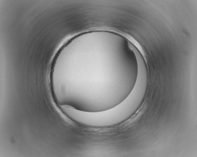 X0000114631005200911171006