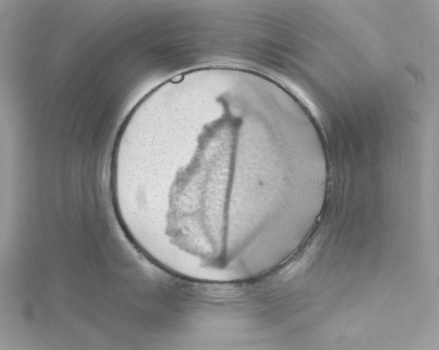 X0000114631007200911171006