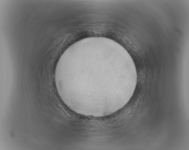 X0000114631009200911171005