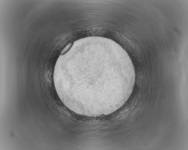 X0000114631010200911171005