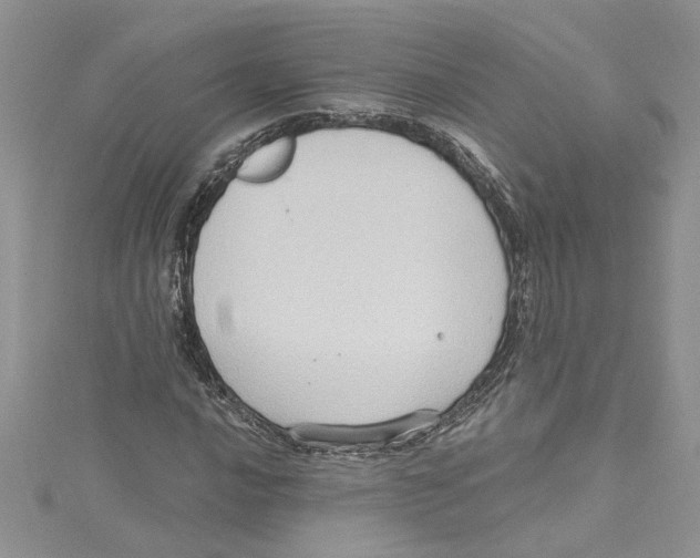 X0000114631016200911171005