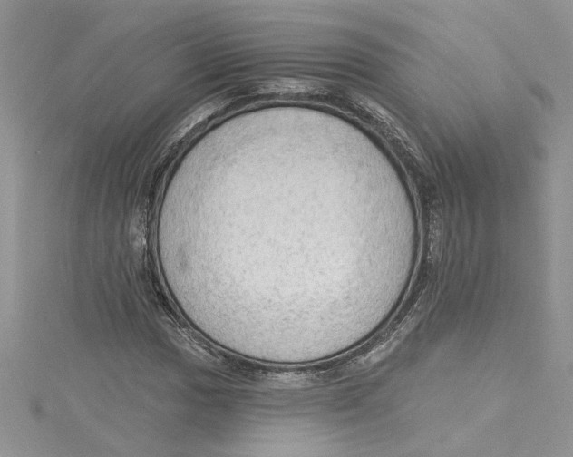 X0000114631017200911171005