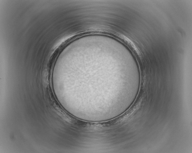 X0000114631019200911171005