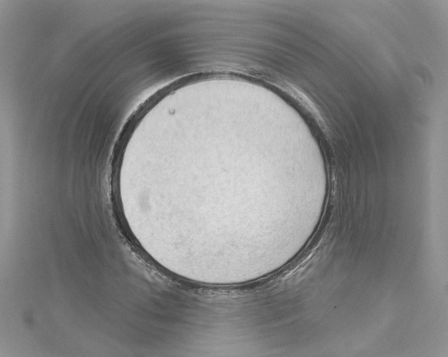 X0000114631020200911171005