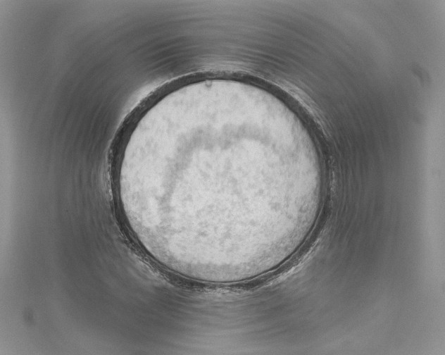 X0000114631022200911171005