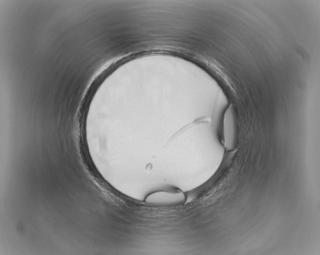 X0000114631024200911171005