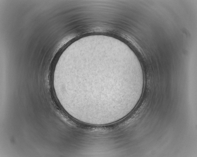 X0000114631026200911171005