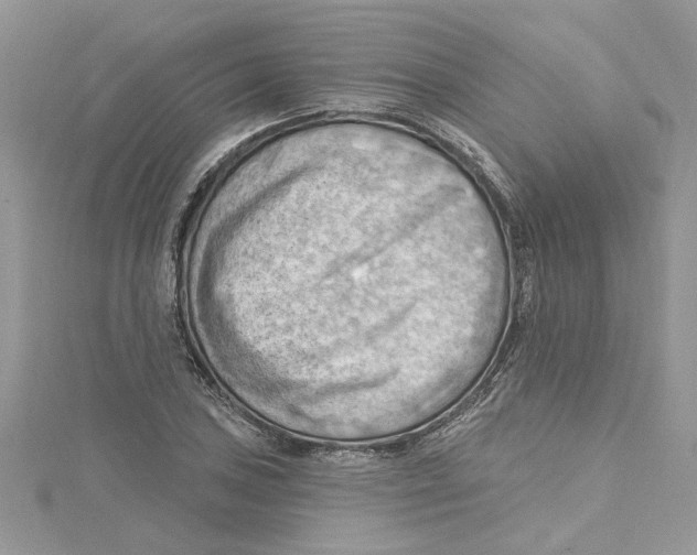 X0000114631027200911171005