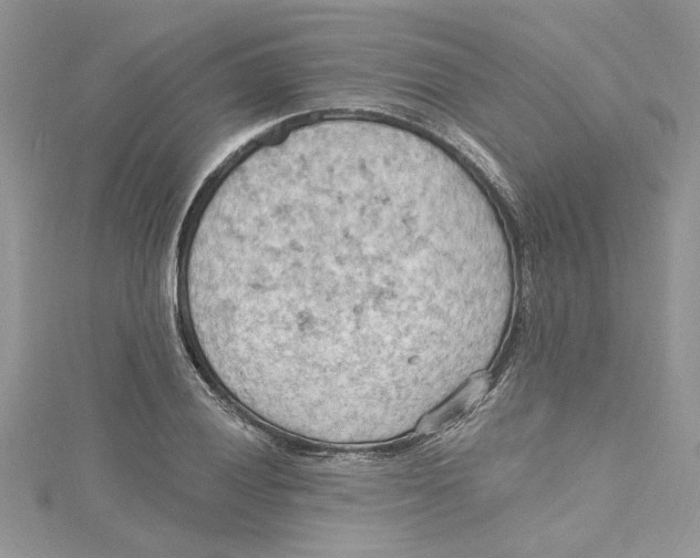 X0000114631028200911171005